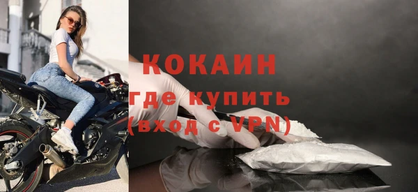 твердый Новодвинск
