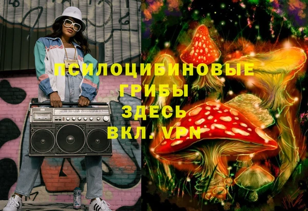 твердый Новодвинск