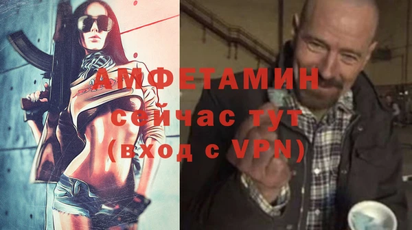 молекула духа Алексин