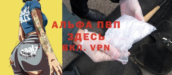 твердый Новодвинск