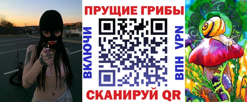 дарнет шоп  Куйбышев  Псилоцибиновые грибы мицелий 