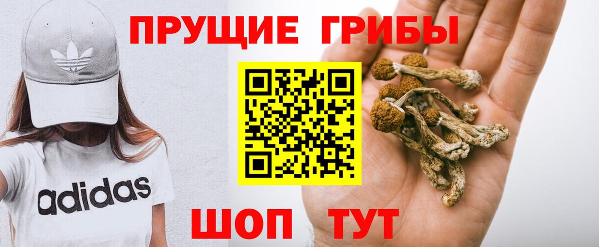 Псилоцибиновые грибы прущие грибы Куйбышев